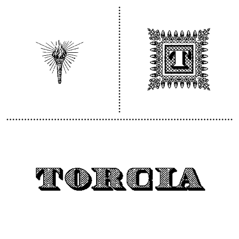 torcia_details
